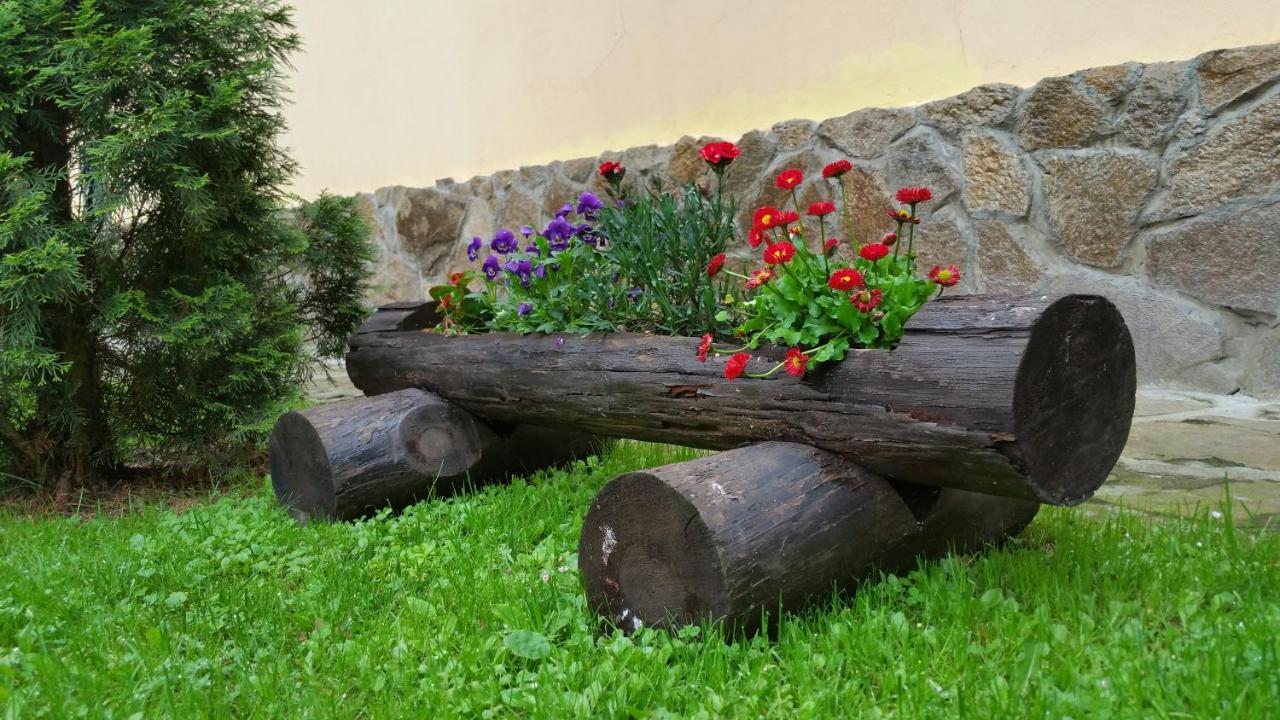 Casa Alex Villa Ferencfalva Kültér fotó