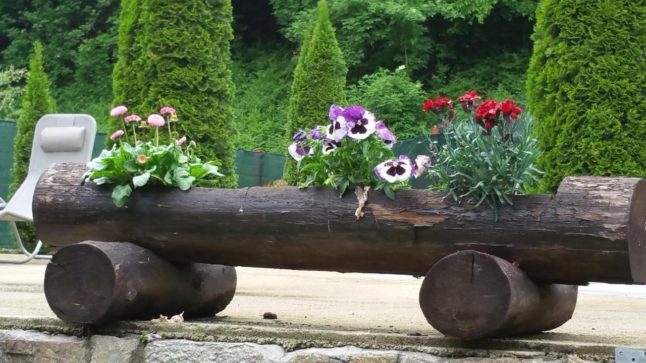 Casa Alex Villa Ferencfalva Kültér fotó