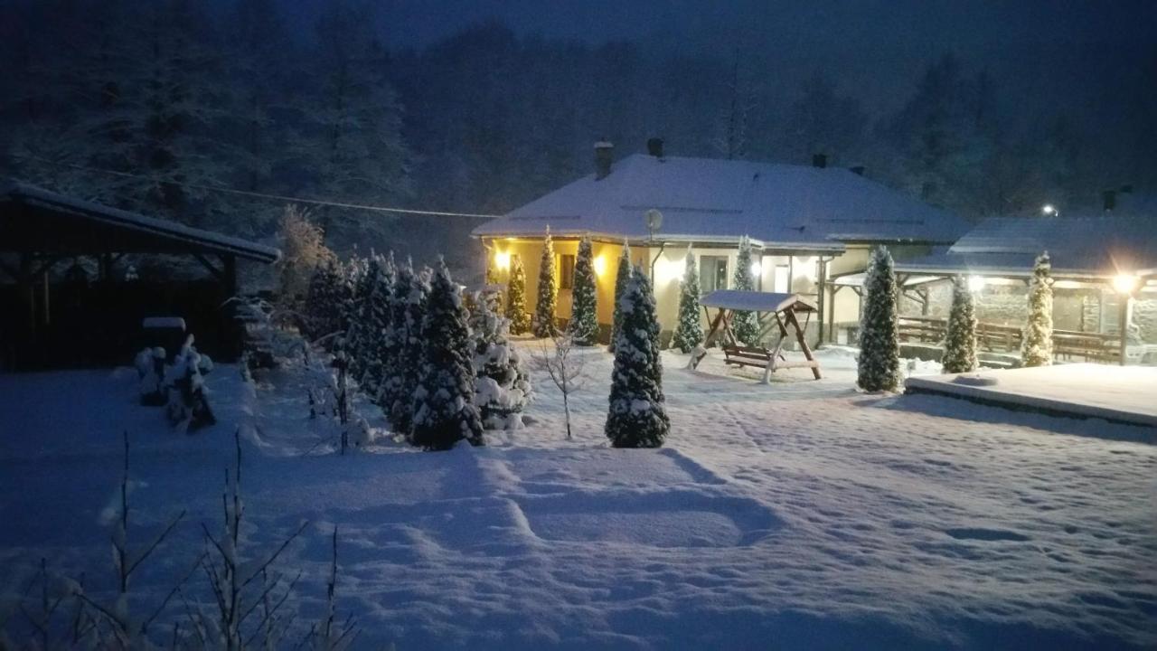 Casa Alex Villa Ferencfalva Kültér fotó