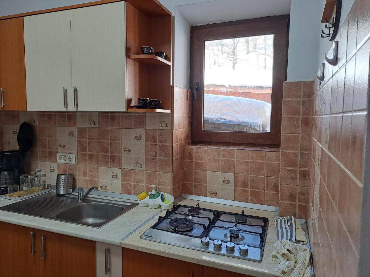 Casa Alex Villa Ferencfalva Kültér fotó