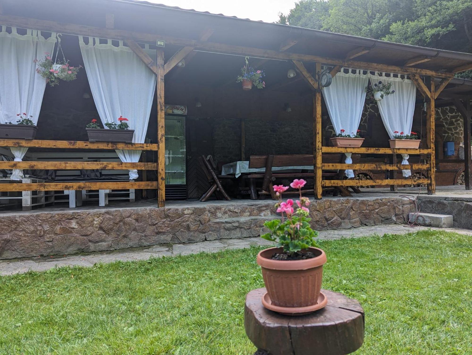 Casa Alex Villa Ferencfalva Kültér fotó