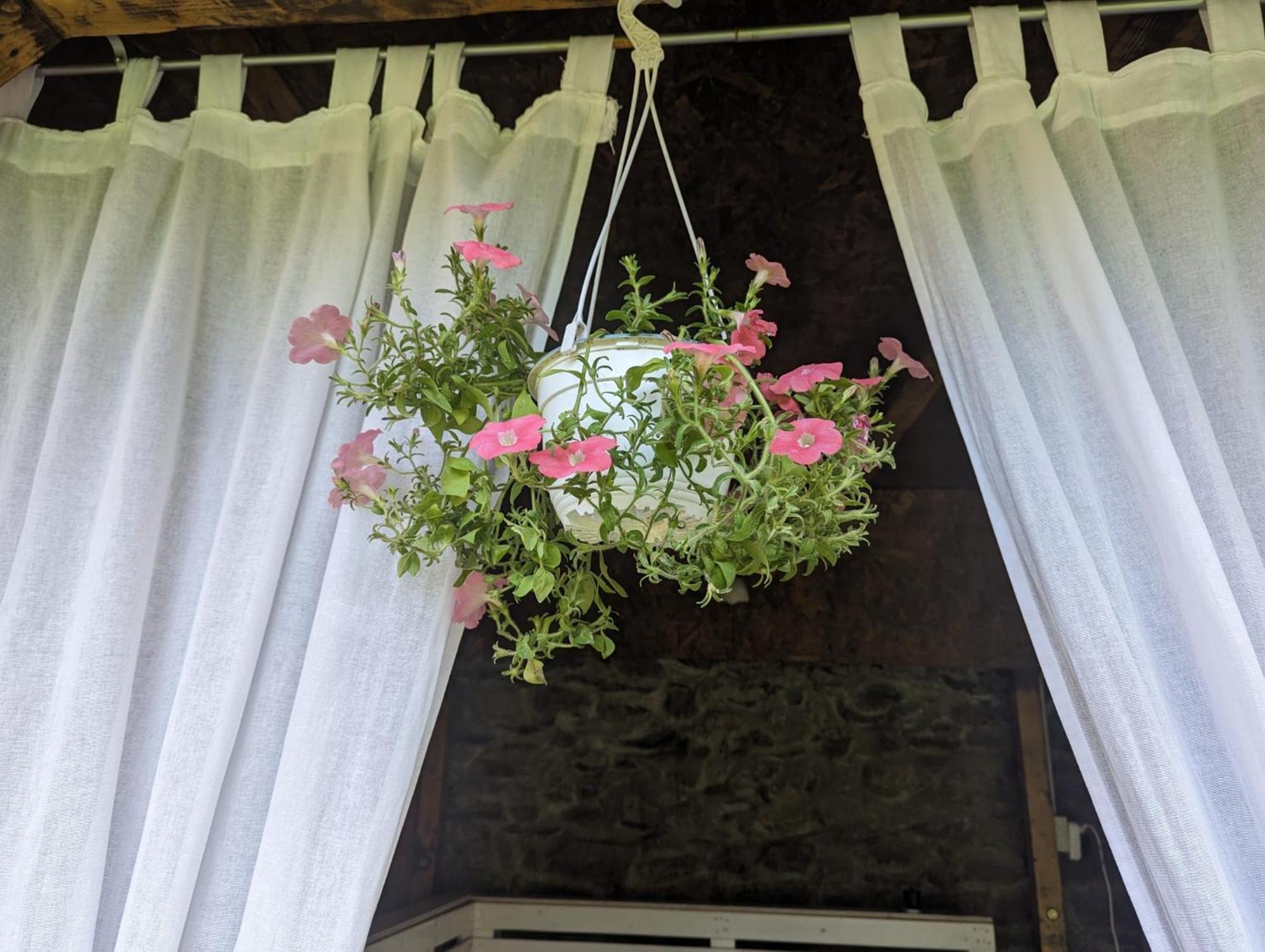 Casa Alex Villa Ferencfalva Kültér fotó