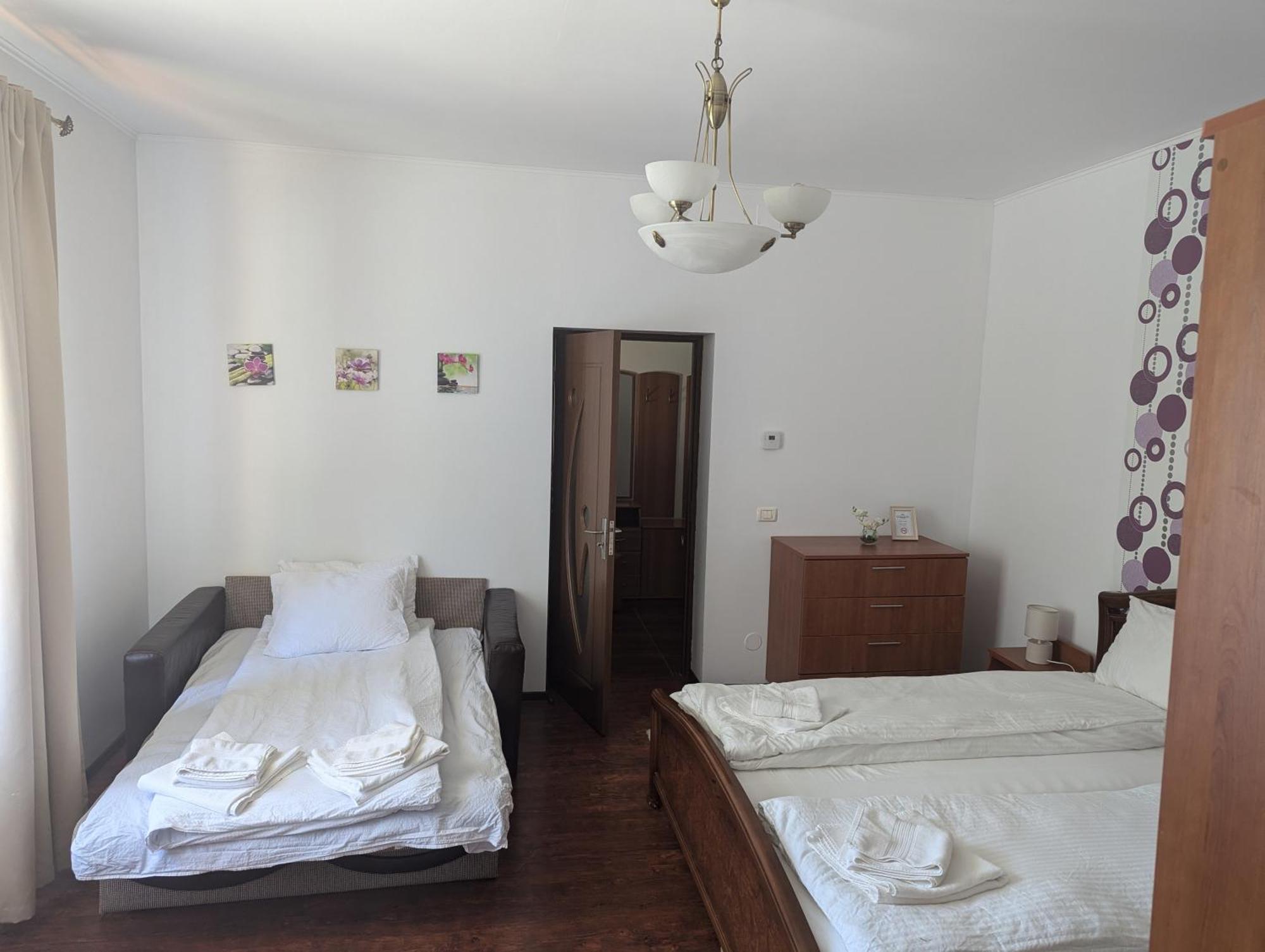 Casa Alex Villa Ferencfalva Kültér fotó